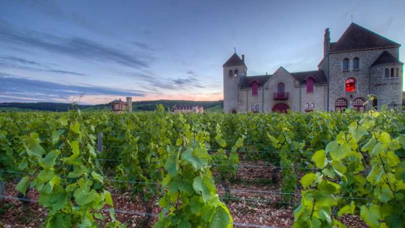 Château de la Tour in Vougeot