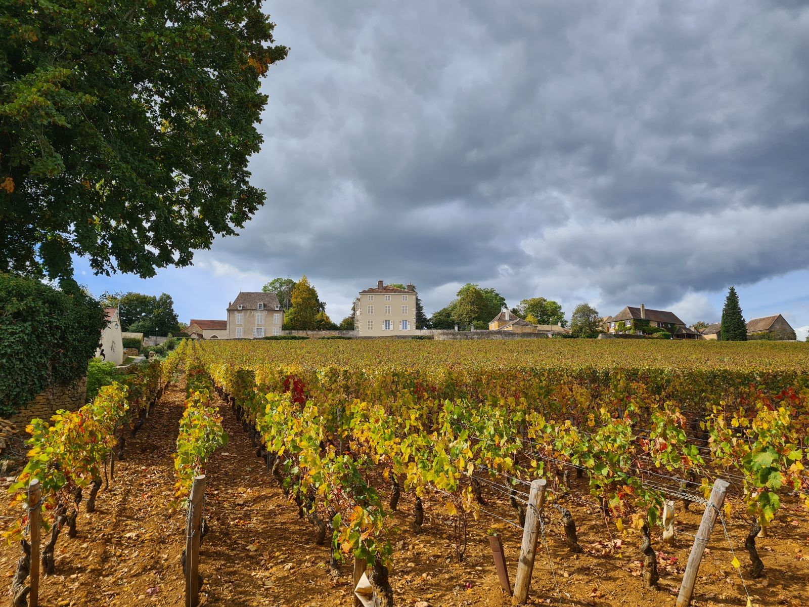 Château du Moulin-à-Vent