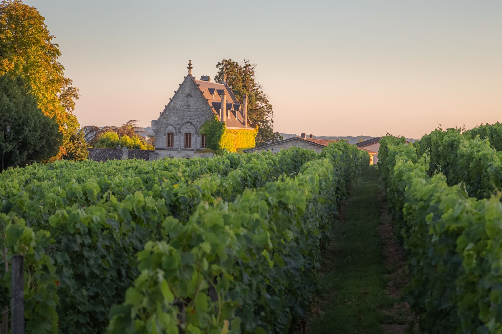 Chateau La Fleur-Pétrus