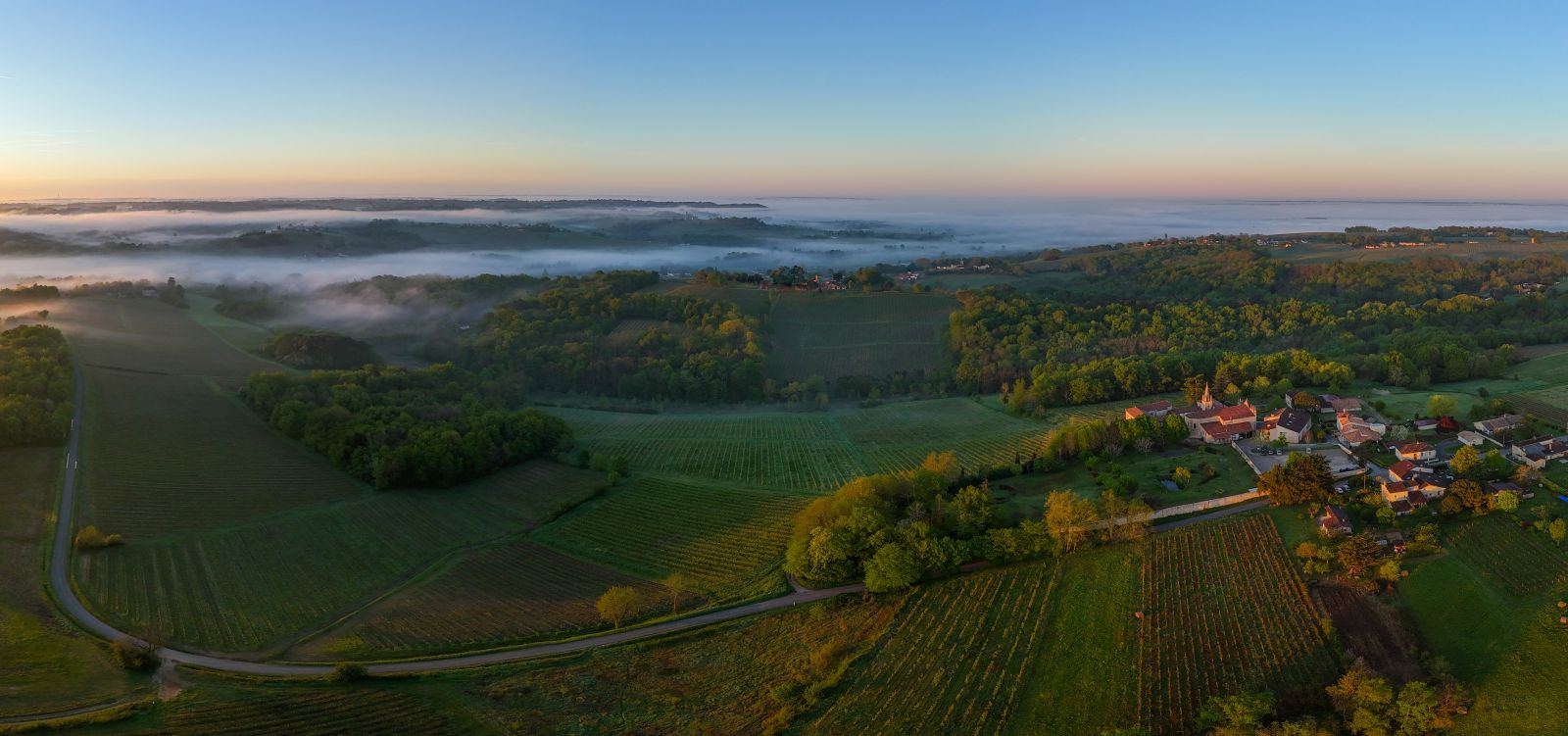 Classified Growth Chateau Haut Bailly
