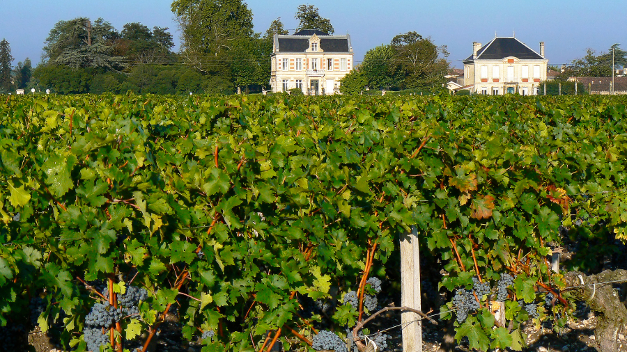 1st Grand Cru Classé Chateau Figeac 