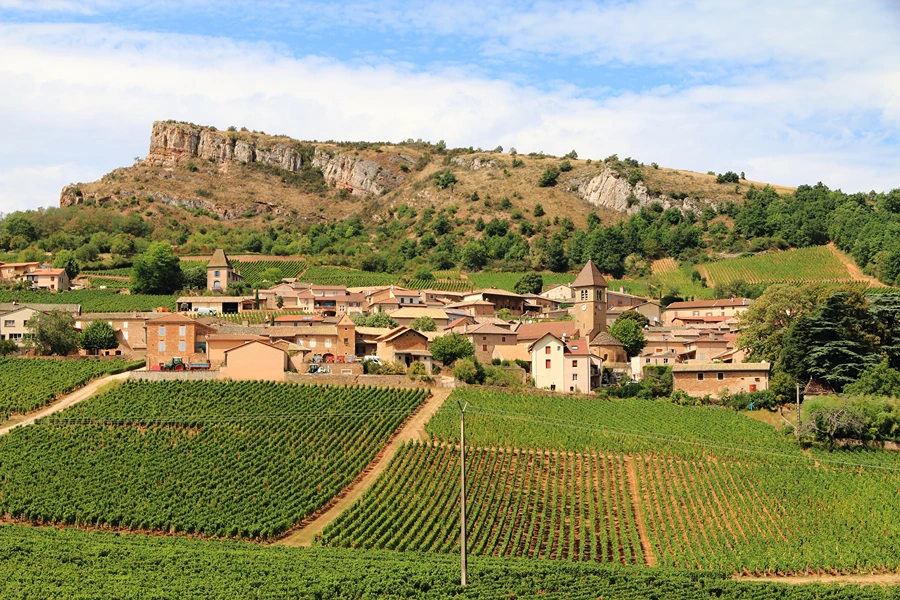 Domaine Barraud, Vergisson