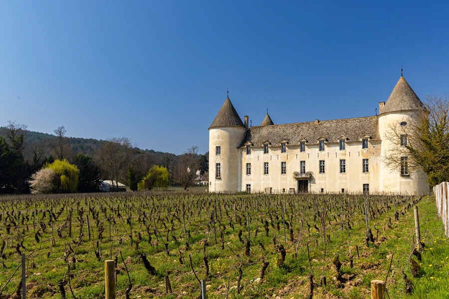 Domaine Sylvain Pataille, Marsannay 