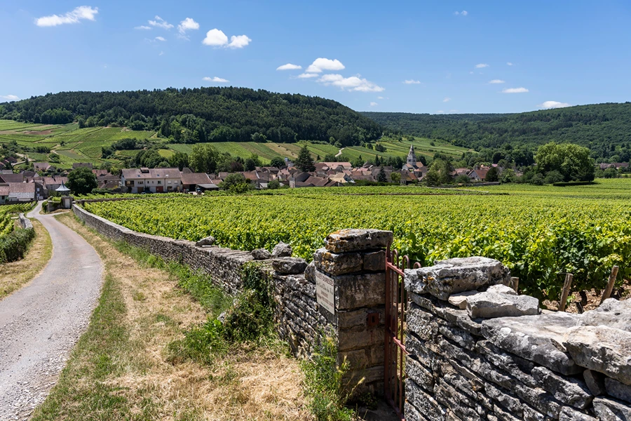 Domaine Gilles Lafouge, Auxey-Duresse