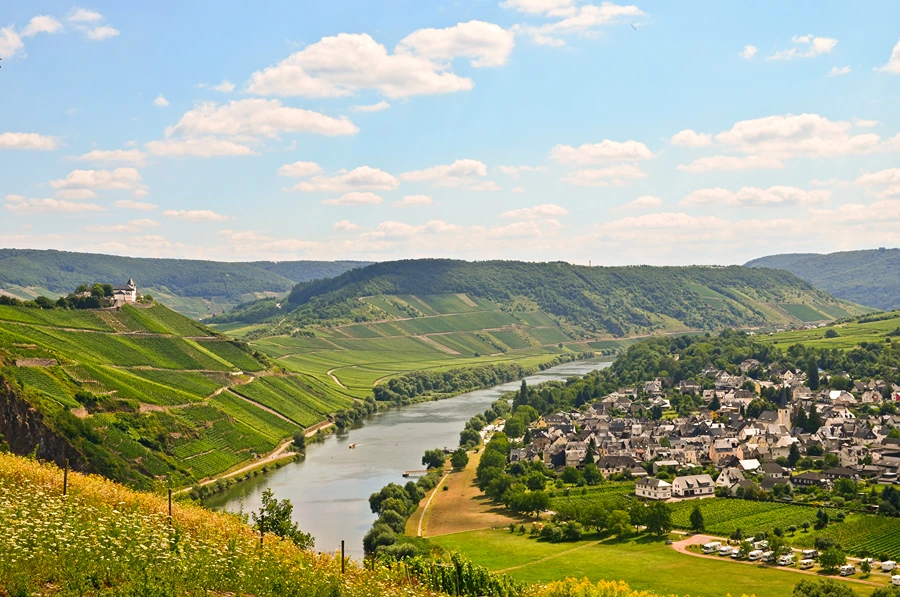 Weingut Forstmeister Geltz Zillken