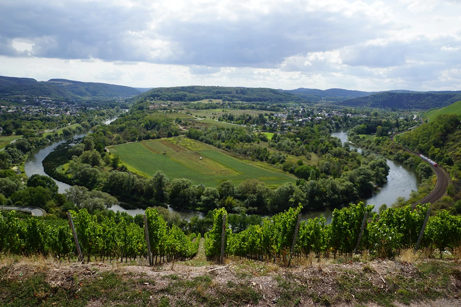 Weingut Van Volxem