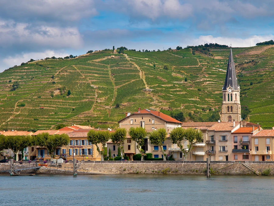 Domaine Alain Graillot