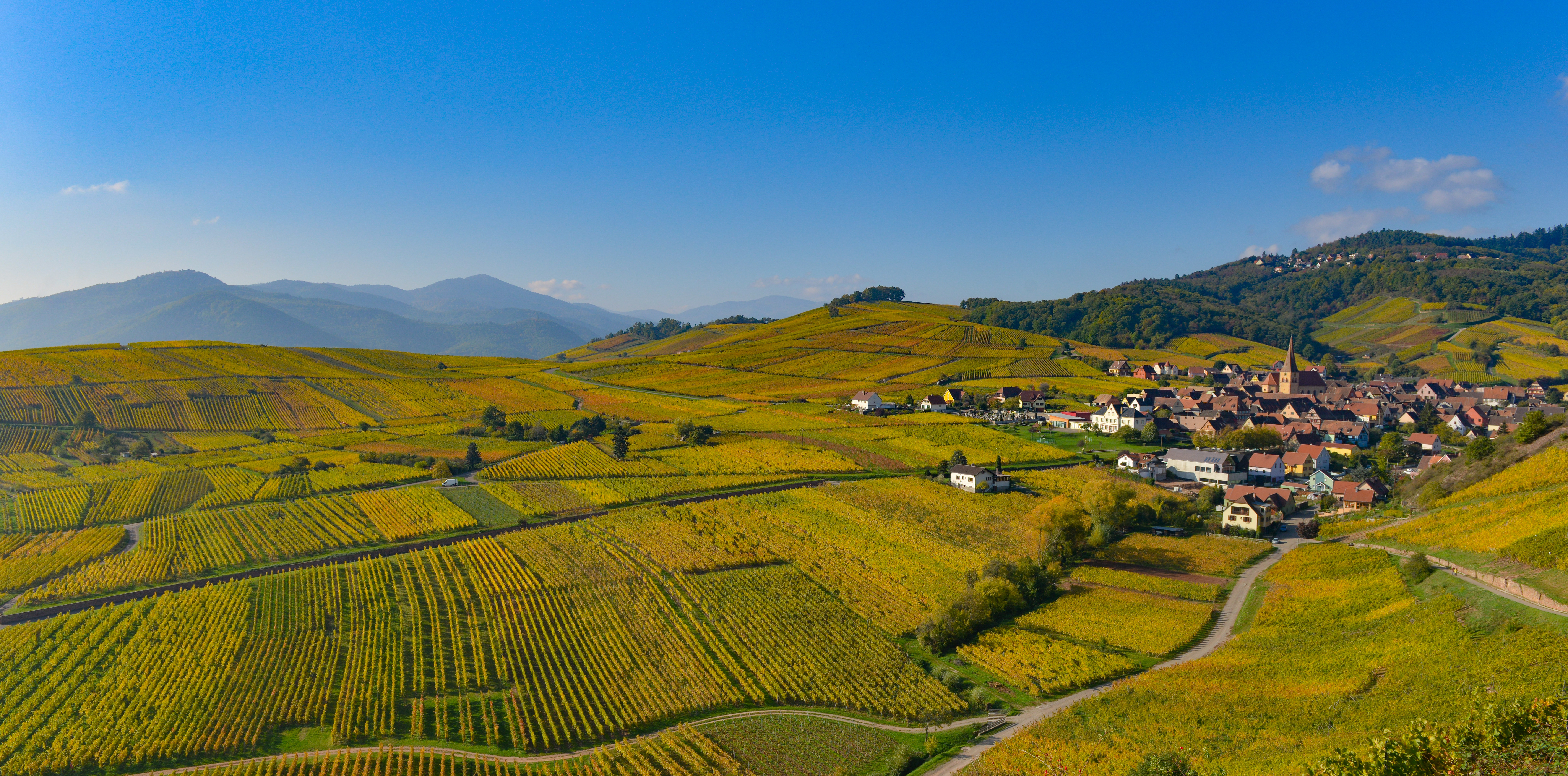 Domaine Meyer Fonné