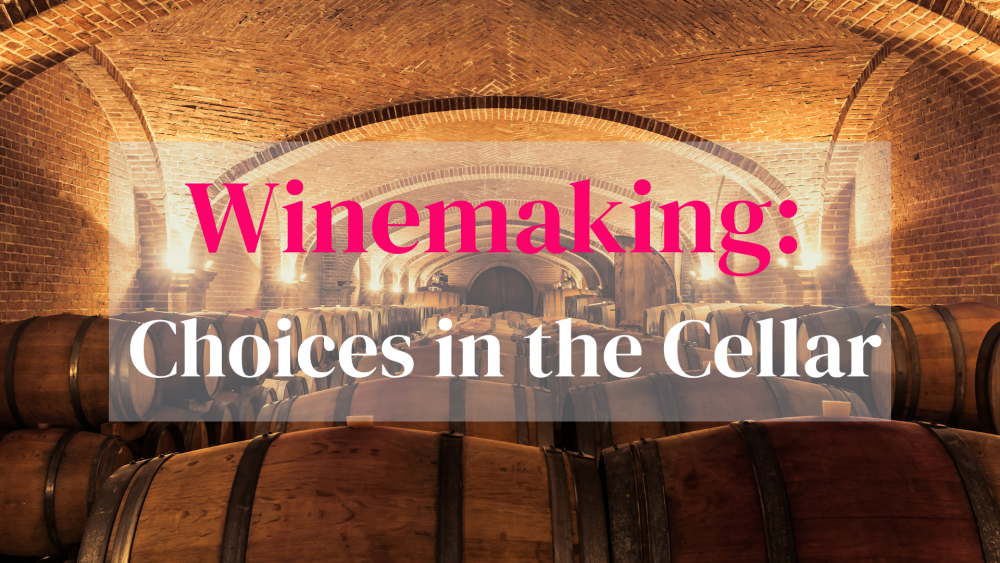 Winemaking: Choices in the cellar