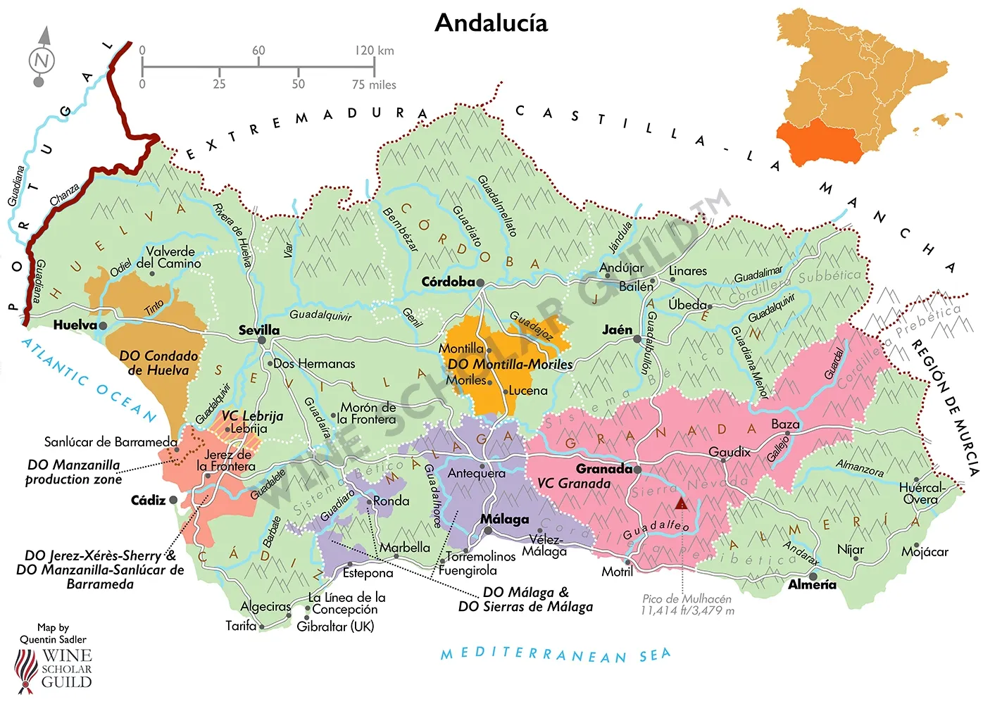 Andalucia Wine Map (PDOs) by Wine Scholar Guild