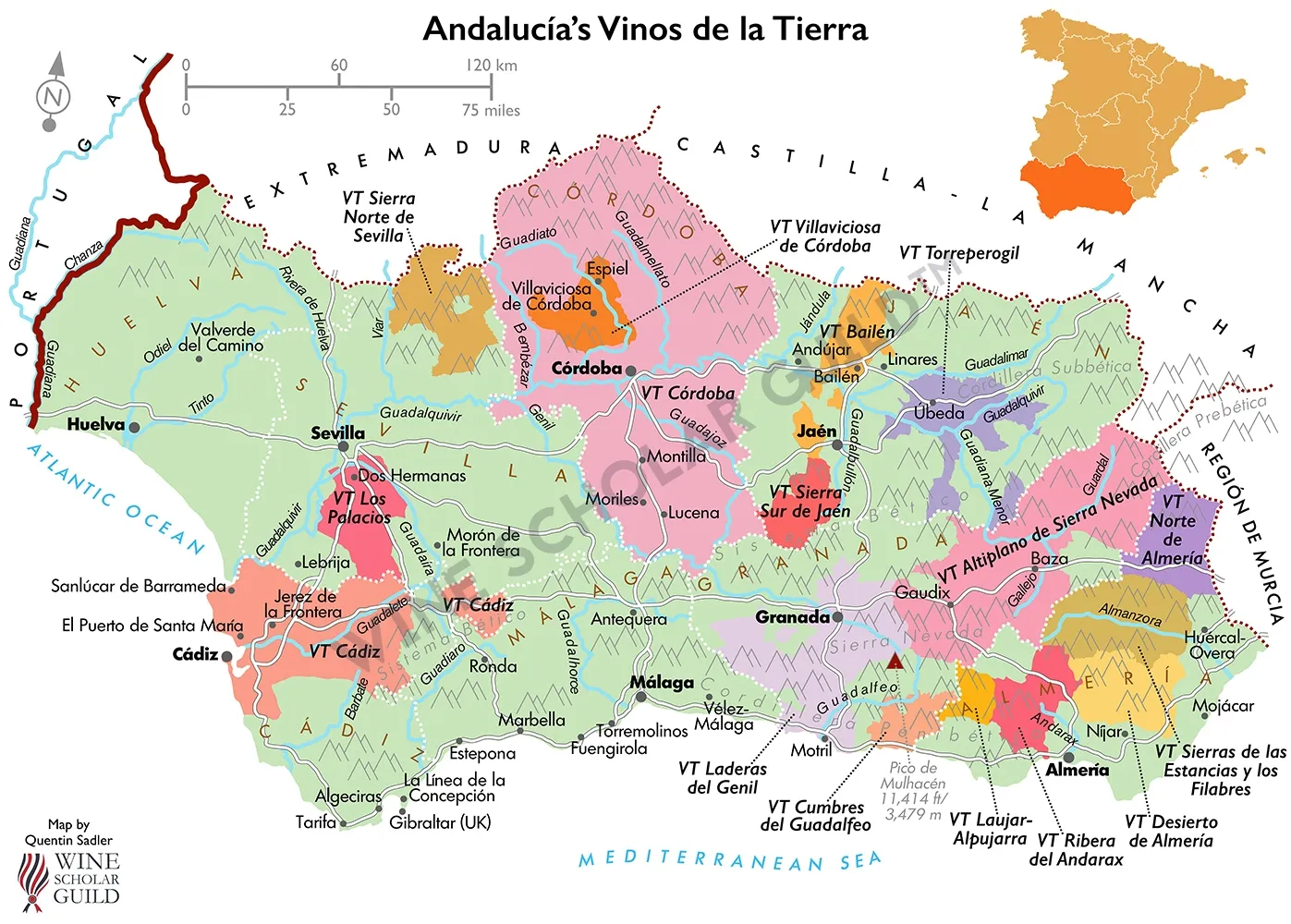 Andalucia Wine Map (PGIs) by Wine Scholar Guild