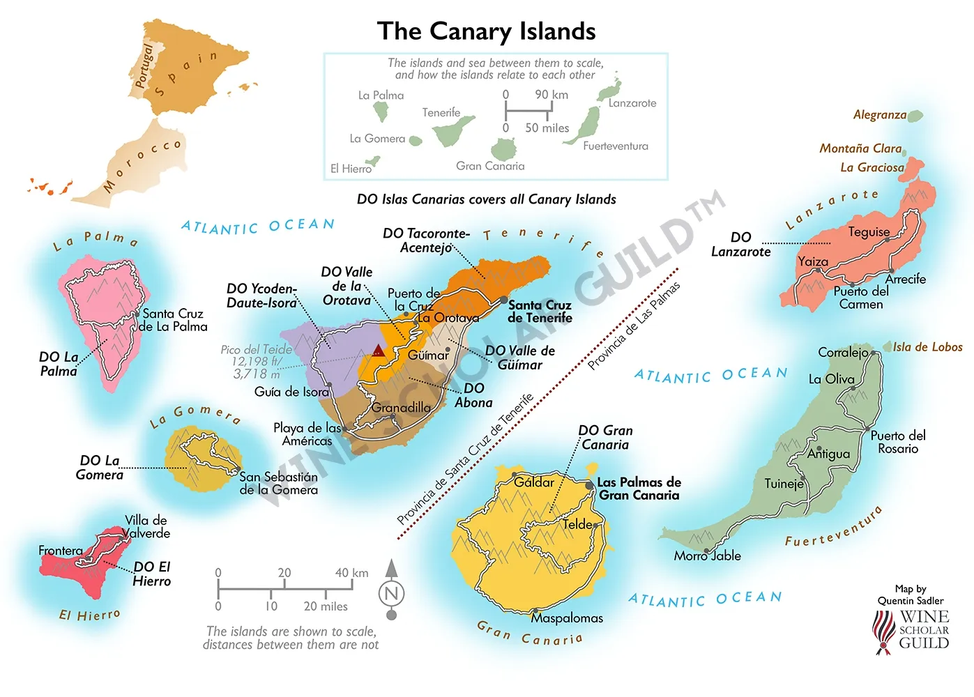 Canary Islands Wine Map by Wine Scholar Guild