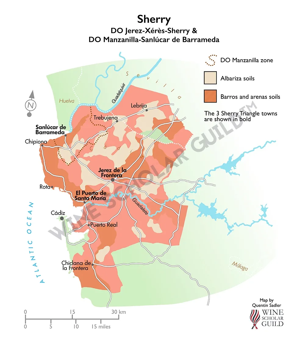 Sherry Wine Map (PDOs) by Wine Scholar Guild