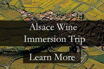 Alsace Wine Tour