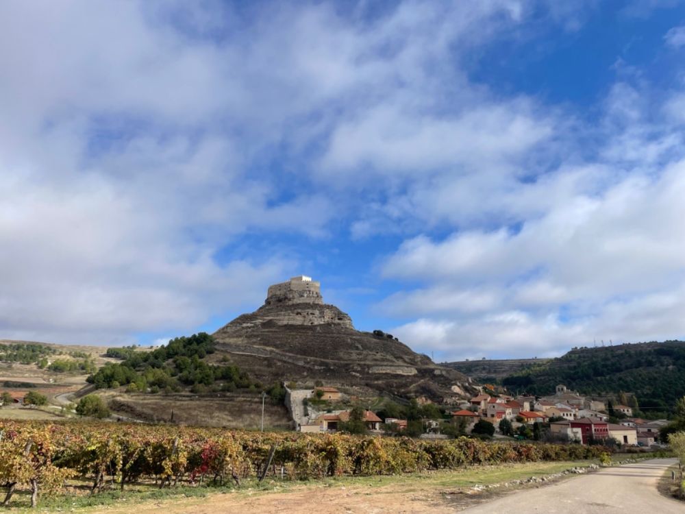 Ribera del Duero 