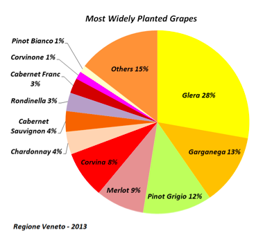 Most widely planted grapes in Veneto