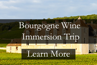 Bourgogne Wine Tour