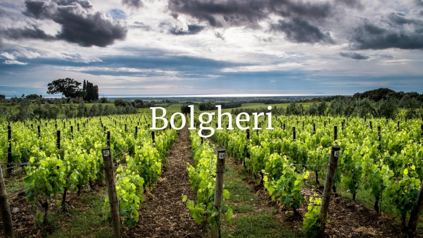 Past, Present and Future of the Bolgheri DOC with Andrea Eby