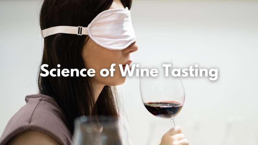 The Science of Wine Tasting - Bridging Enology to Perception