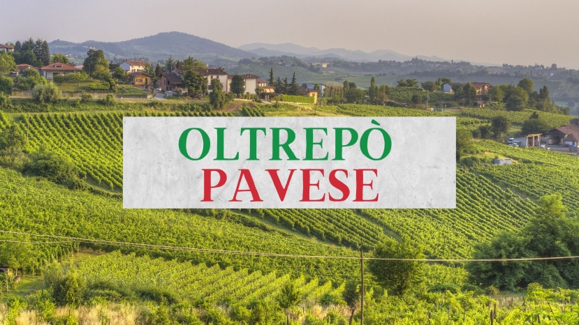 Discover Oltrepò Pavese Wines with Susannah Gold