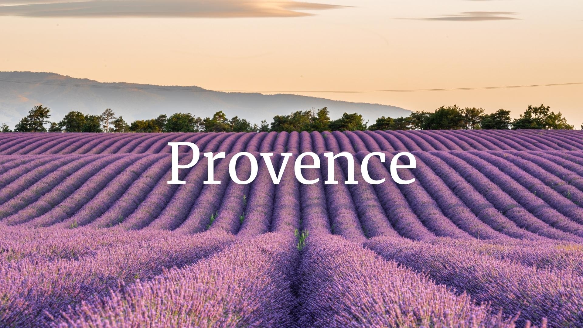 Provence Who&#039;s Who with Elizabeth Gabay MW