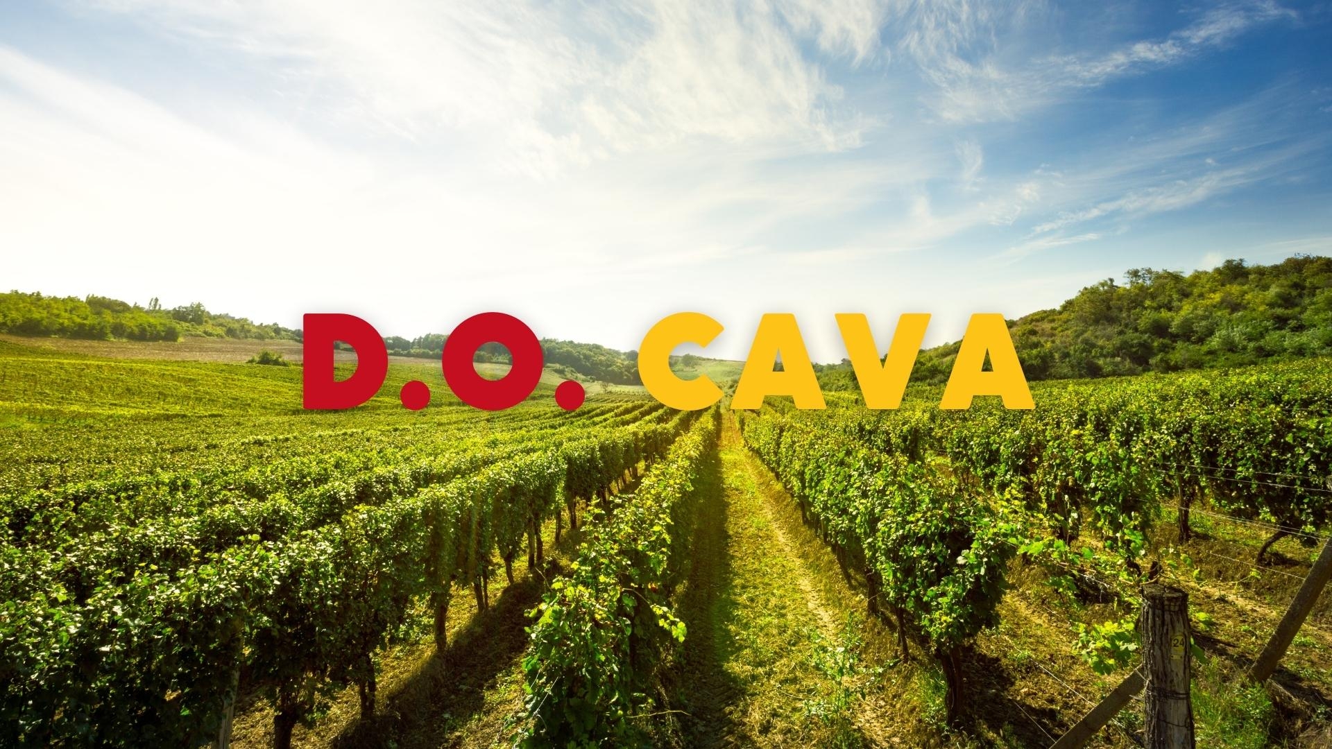 Explore D.O. Cava and its Recent Developments with Javier Pagés