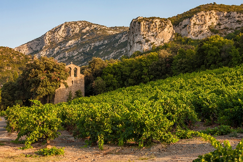 Top 5 AOCs to Discover in Languedoc and Roussillon