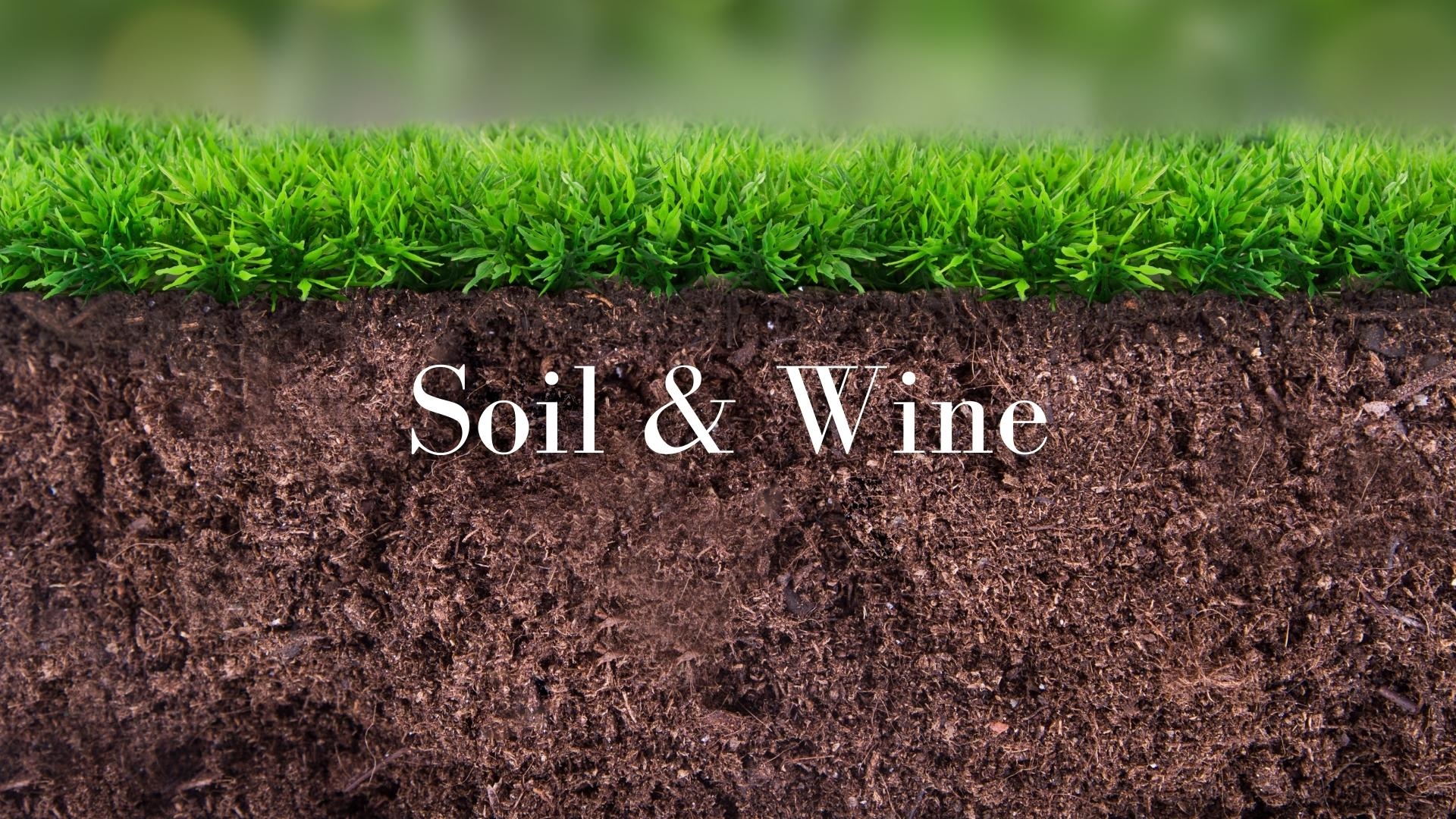 Soil and Wine: What do we really know with Roger Bohmrich MW