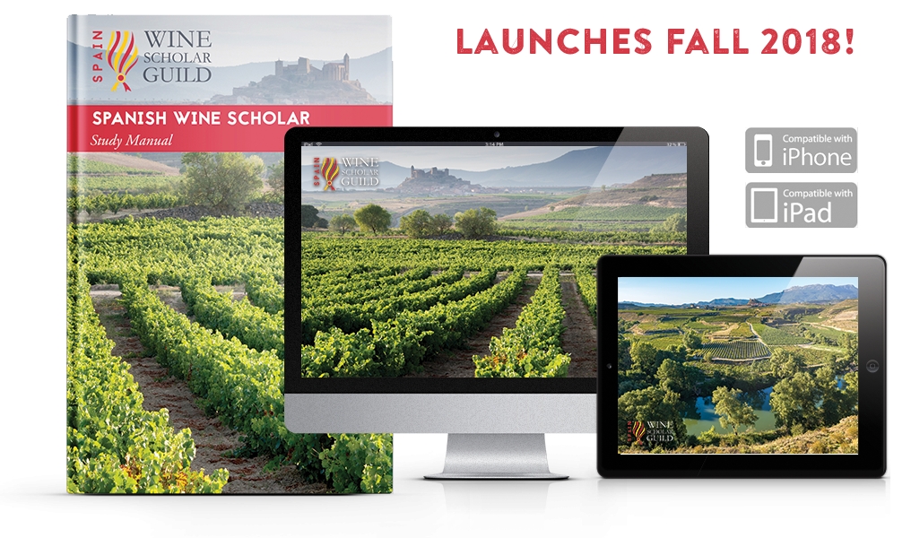 Spanish Wine Scholar Program Update!