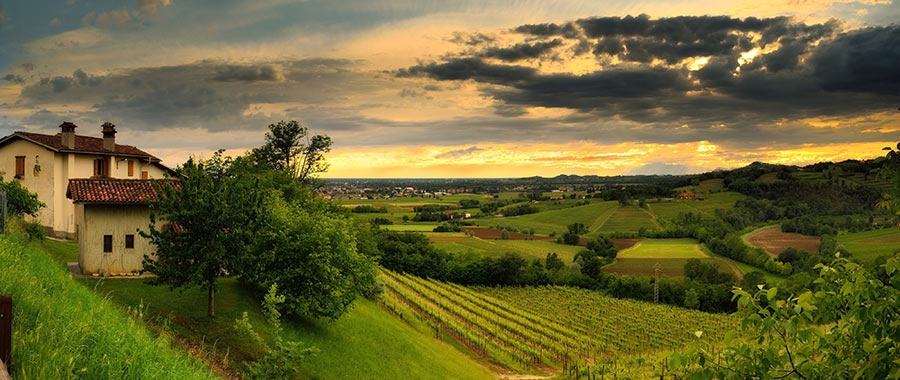 Friuli is the birthplace of modern Italian white wines