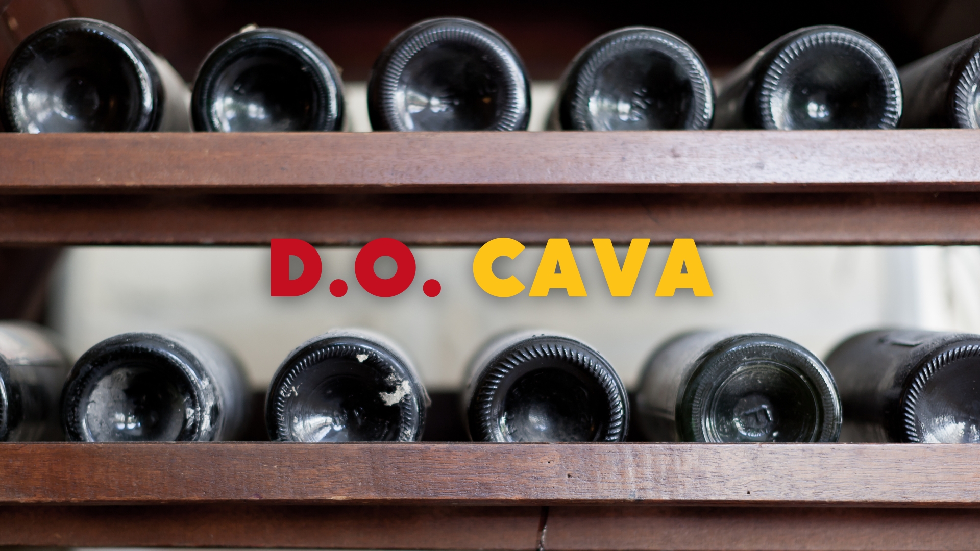 DO Cava: Moving Towards Higher Levels Of Excellence And Sustainability with Nicoletta Dicova