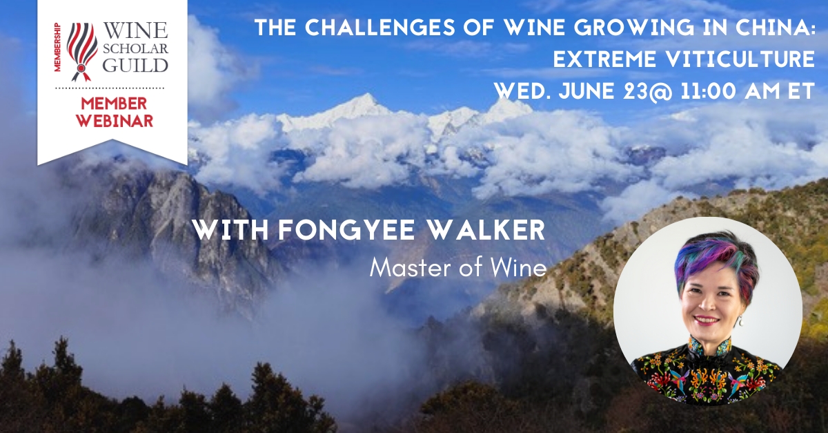 The Challenges of Wine Growing in China: Extreme Viticulture with Fongyee Walker, Master of Wine