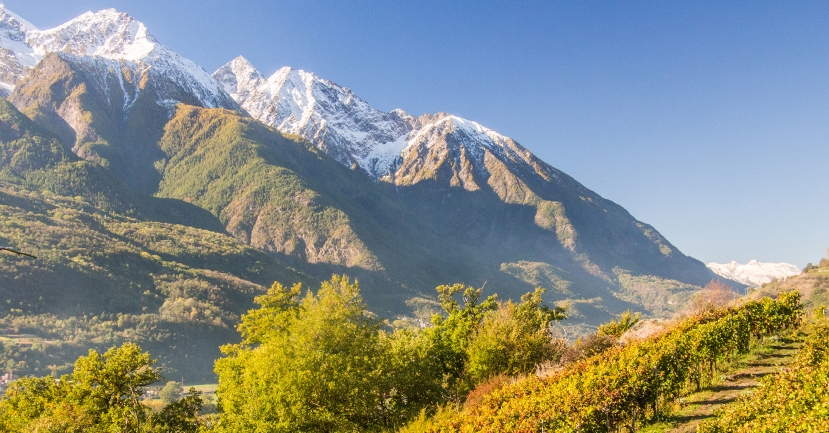 Focus - The Wines of Valle d'Aosta: Not Quite Italian, Not Quite French