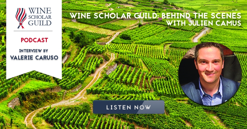 PODCAST: Julien Camus on "Wine Scholar Guild: behind the scenes"