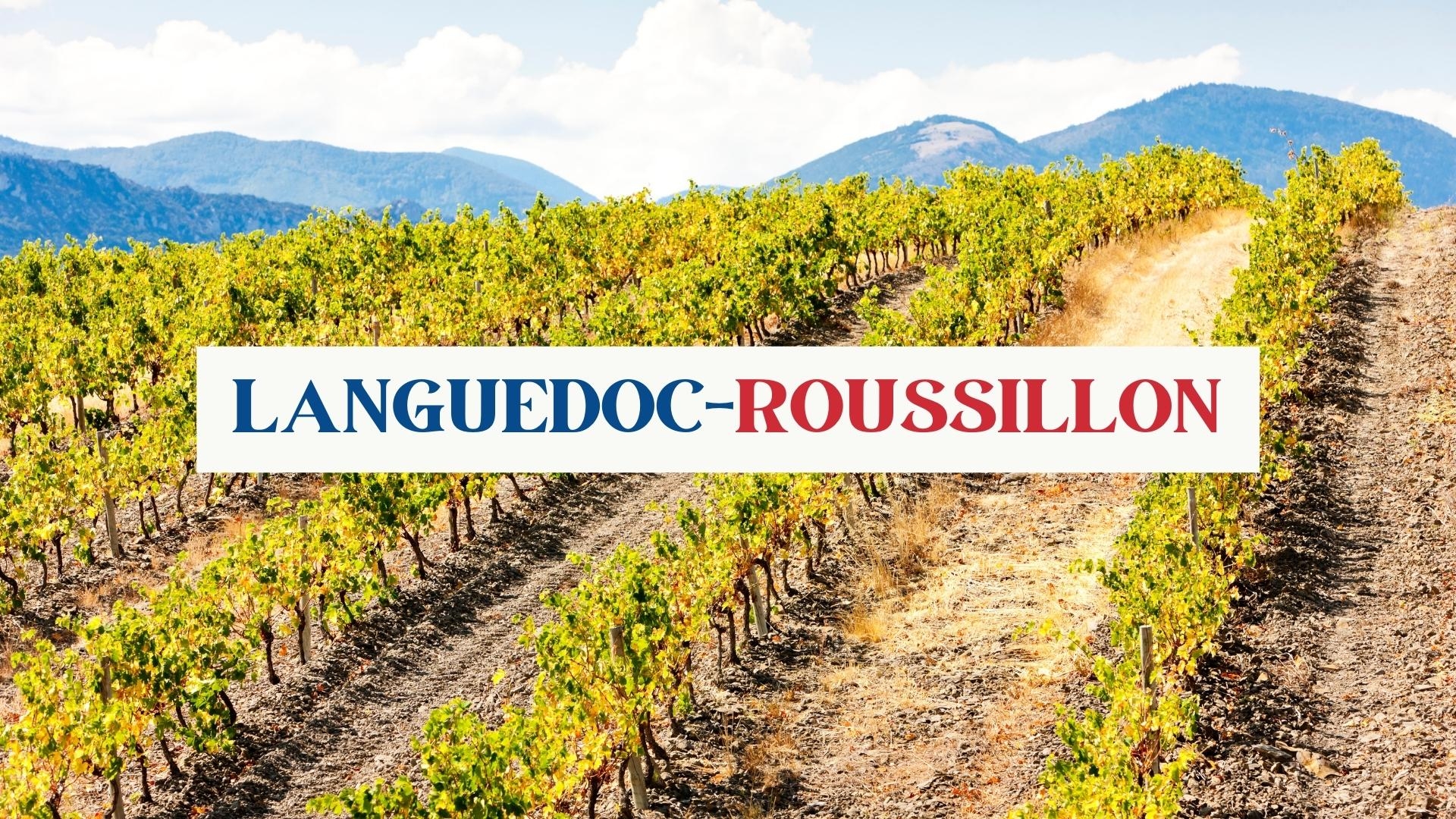 Languedoc-Roussillon with Matthew Stubbs MW