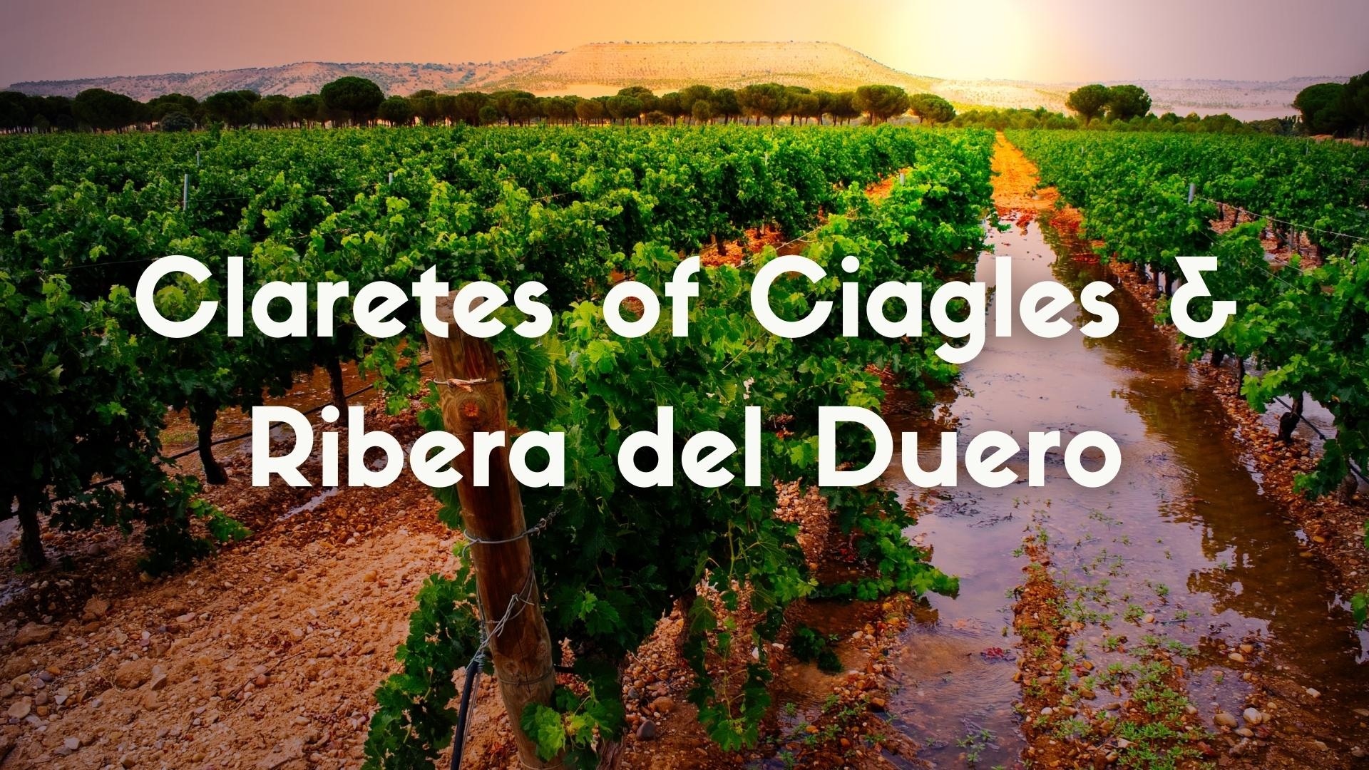 The Claretes of Cigales and Ribera del Duero: historic rosés of north-central Spain with Elizabeth Gabay MW