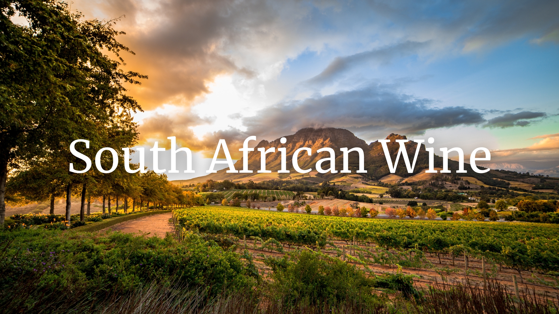 Where to now for South African Wine with Heidi Duminy