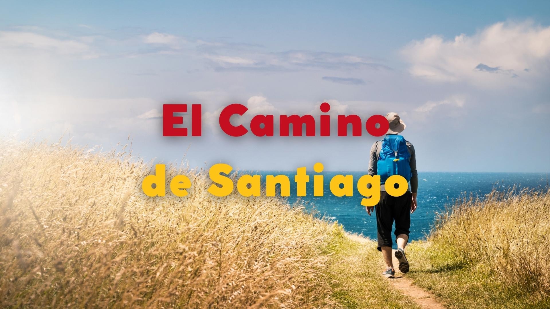 El Camino de Santiago: Walking 4 Wine with Bill Sanders