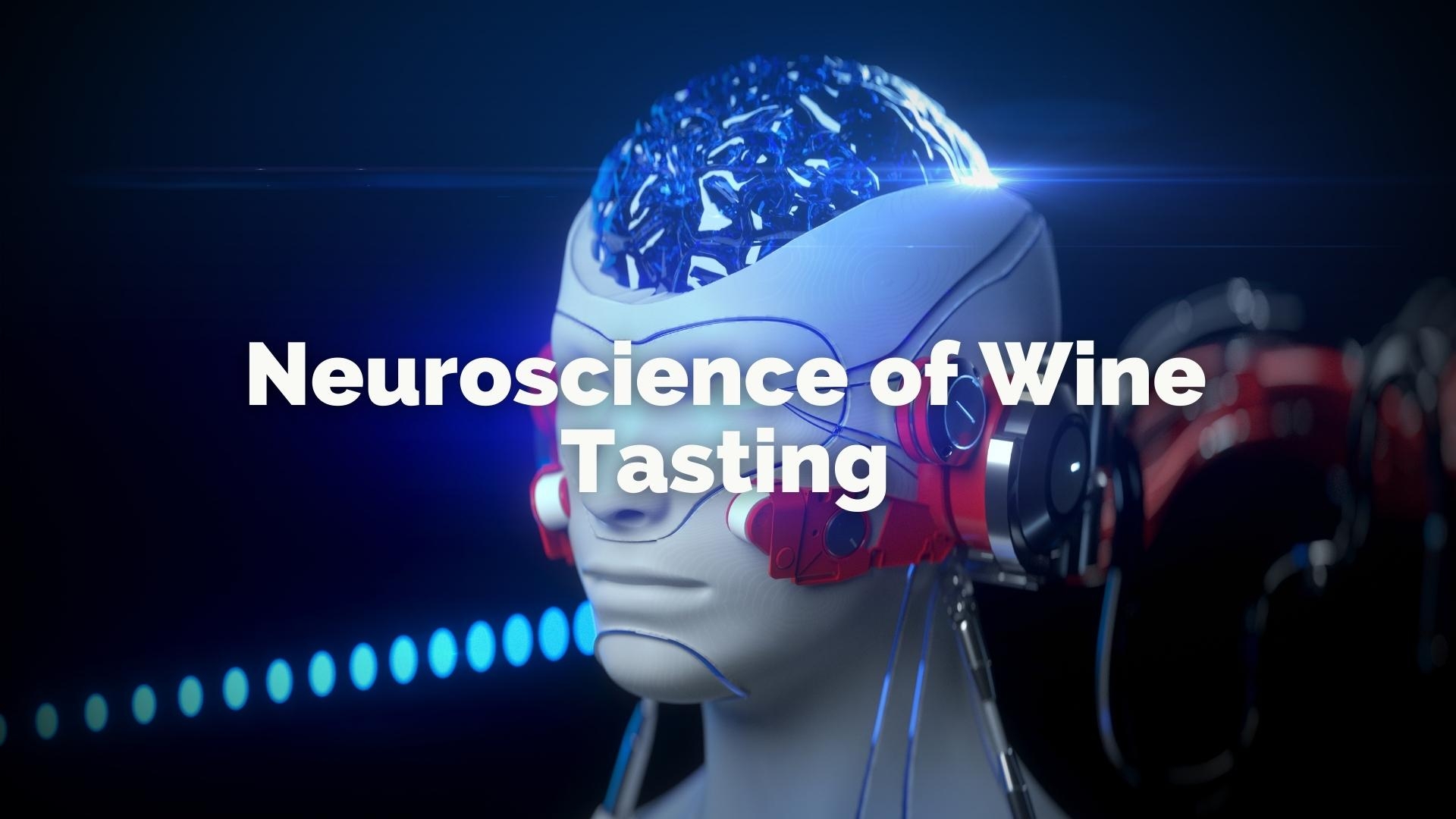 The Neuroscience of Wine Tasting: How the Brain Makes Sense of Wine Sensory Attributes with Gabriel Lepousez