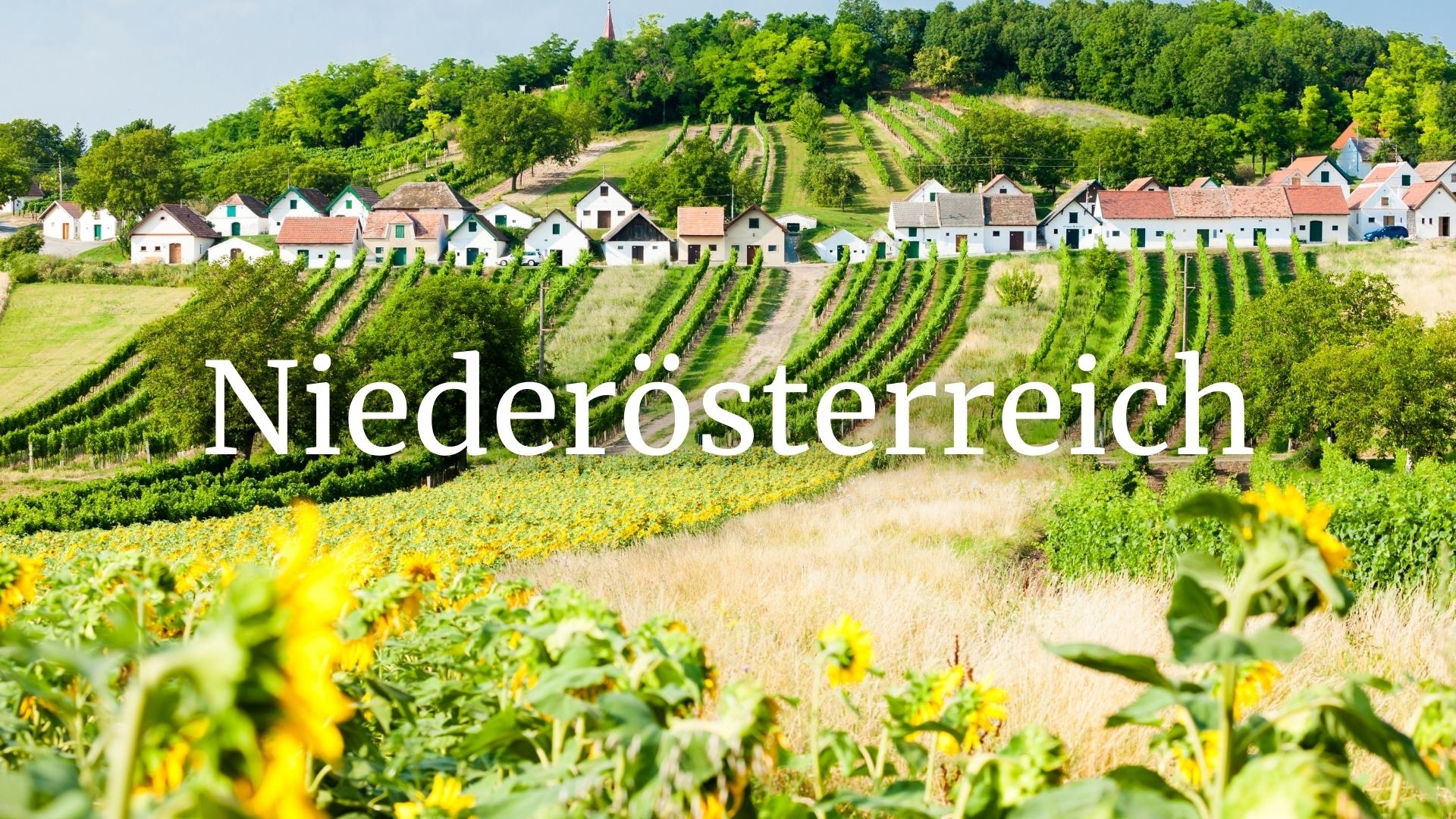 Niederösterreich (Lower Austria) – Refined wines from along the Danube with Andreas Wickhoff MW