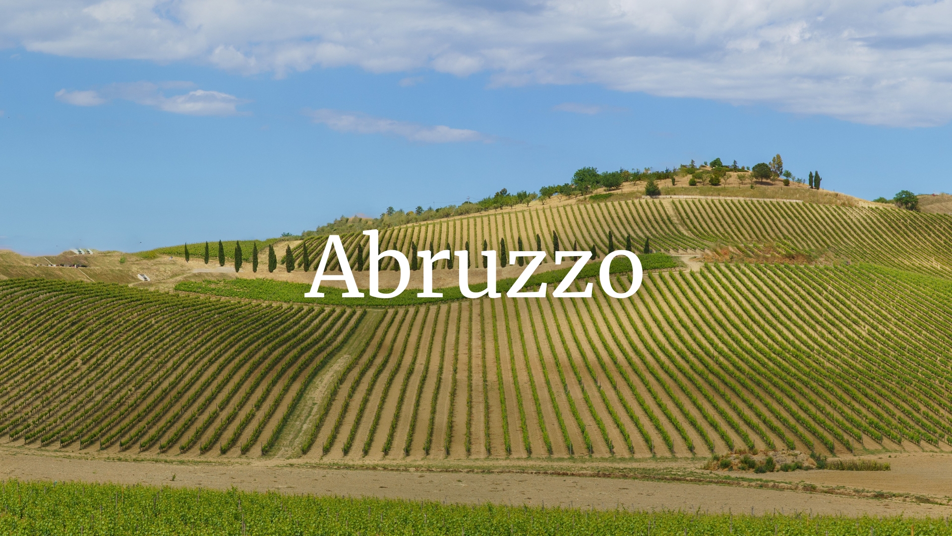 Discovering the Magical Range of Abruzzo&#039;s Wines with Susannah Gold