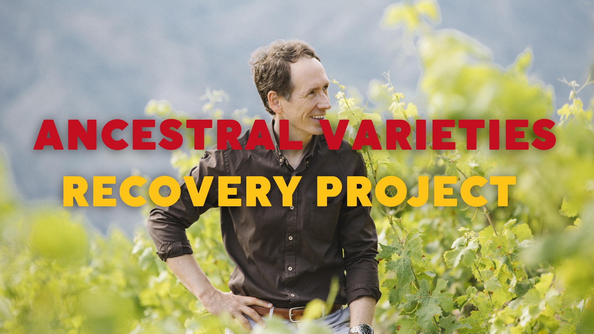 The Torres Ancestral Varieties Recovery Project with Miguel Torres