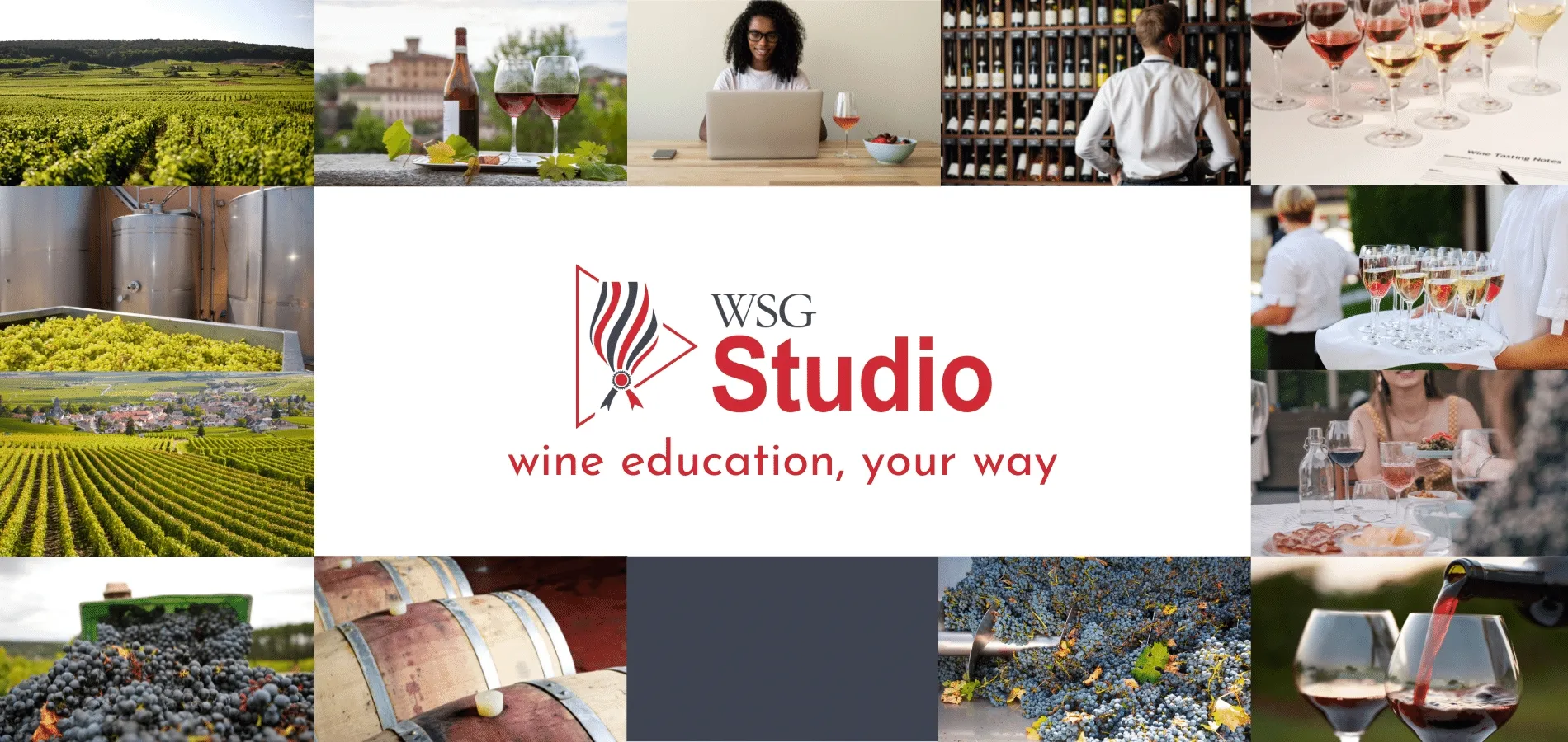 Wine Scholar Guild Launches WSG Studio