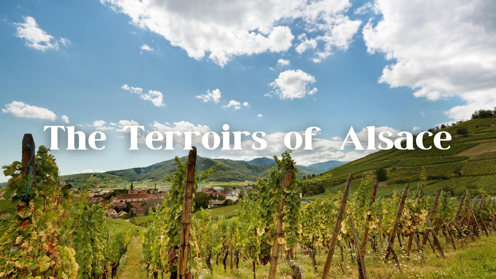 The Terroirs of Alsace with Thierry Fritsch