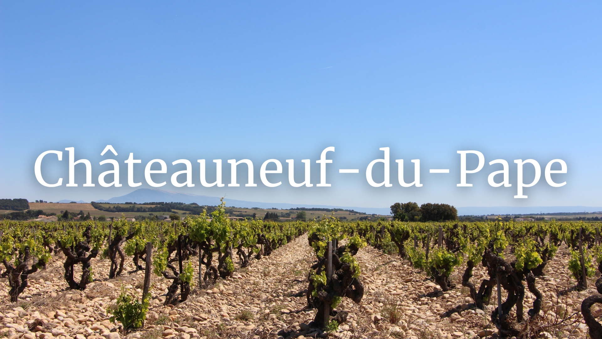 Châteauneuf-du-Pape: The Legends vs. The Truth with Matt Walls