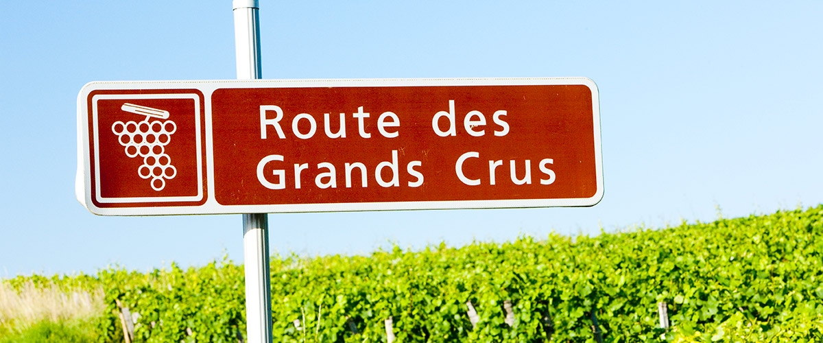 5 Things to Keep in Mind When Visiting Producers in Burgundy