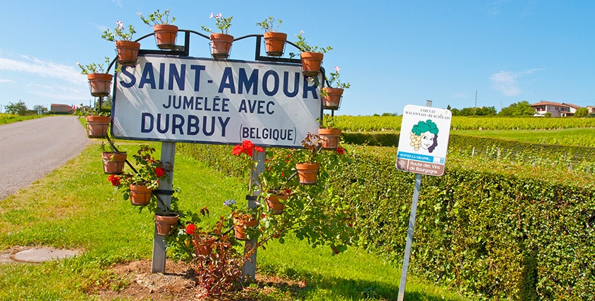 What makes each of the 10 crus Beaujolais special - With Map