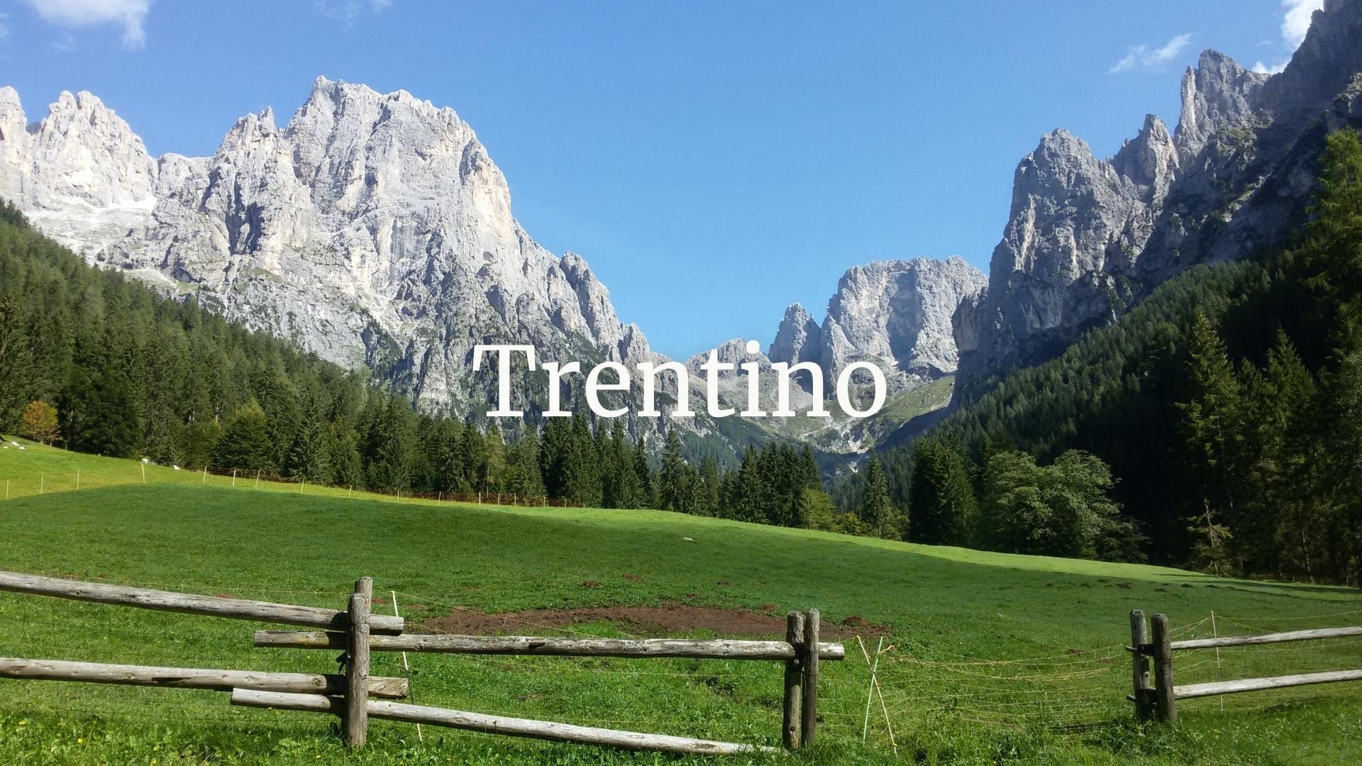 Exploring the Wines of Trentino with Roberto Anesi