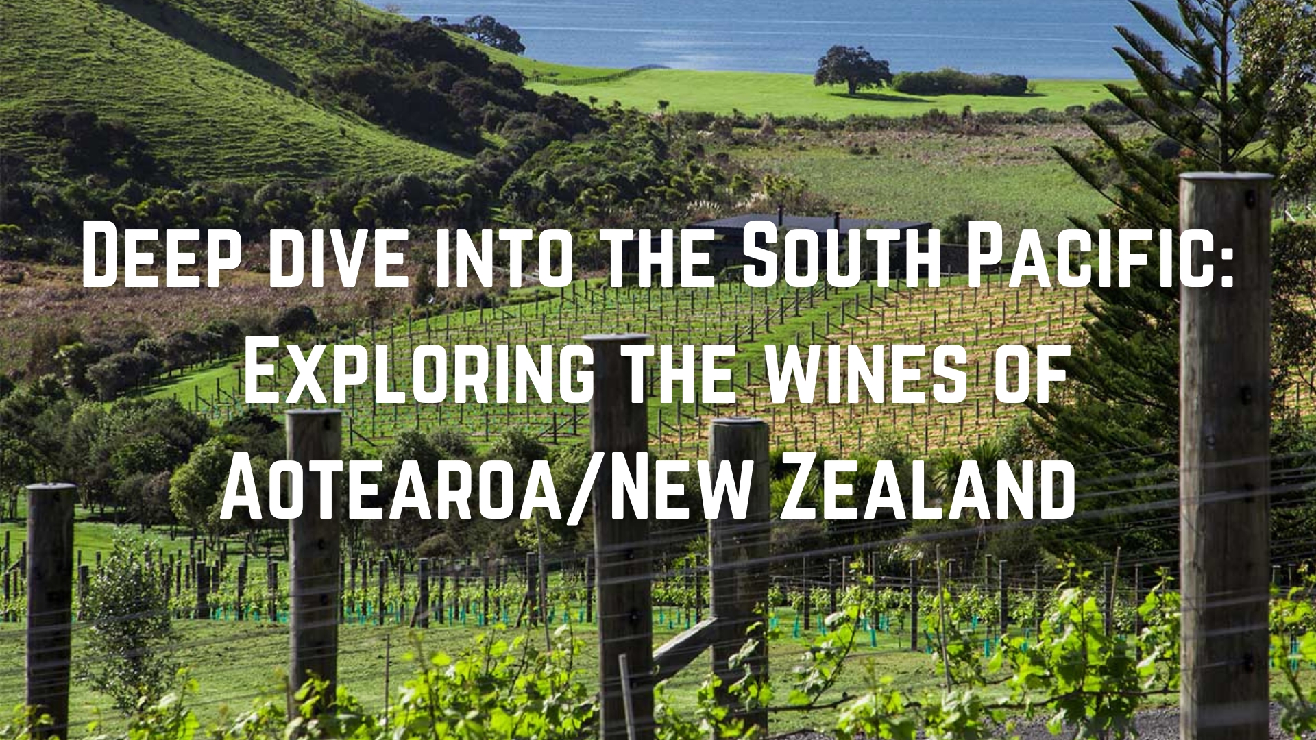 Deep Dive into the South Pacific: Exploring the Wines of Aotearoa (New Zealand)