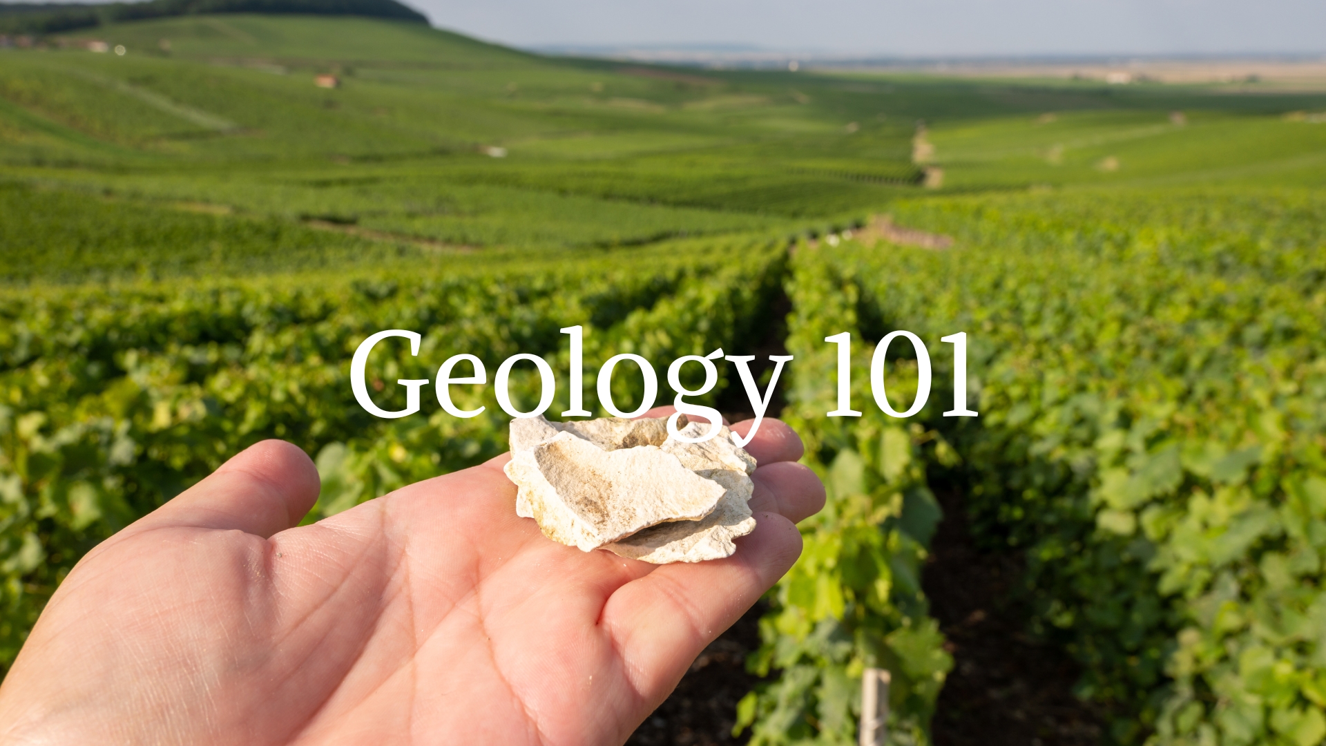 Introduction to Geology, Soil, and Terroir with Brenna Quigley